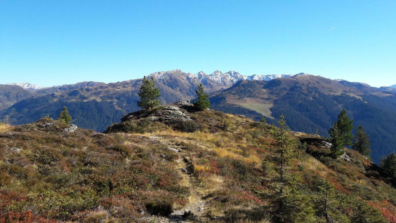 Fewo "Unterm Wald" Stumm Exteriér fotografie