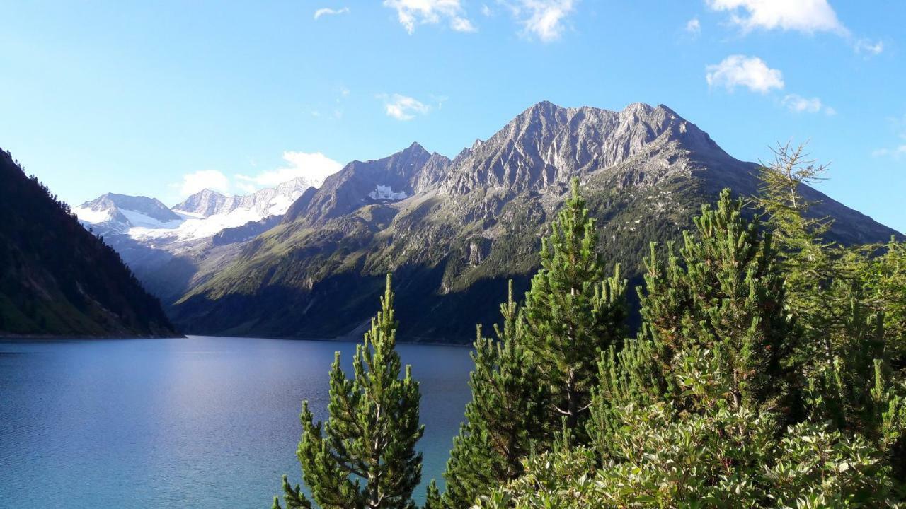 Fewo "Unterm Wald" Stumm Exteriér fotografie