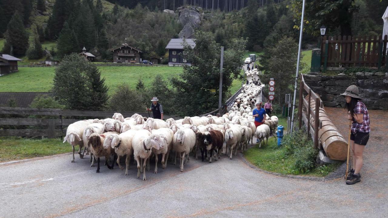 Fewo "Unterm Wald" Stumm Exteriér fotografie